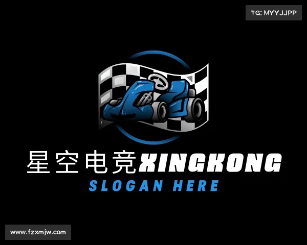 关于星空电竞xingkong